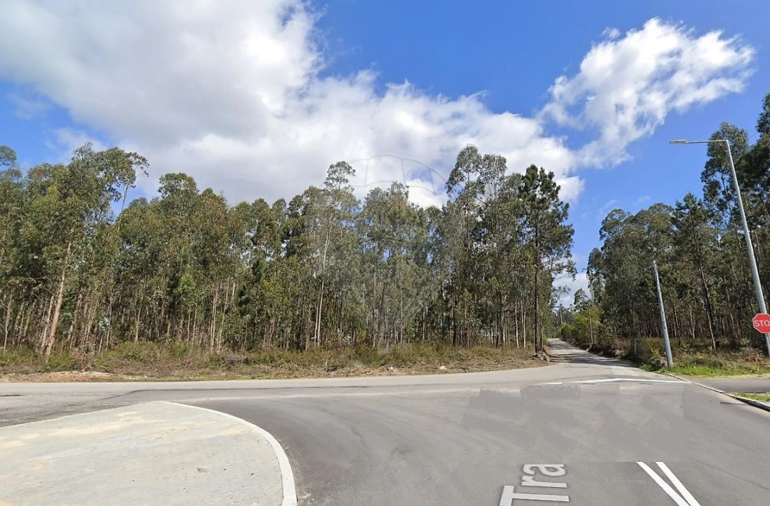 Terreno para Venda em O. Azeméis, Riba-Ul, Ul, Macinhata Seixa, Madail Foto 4