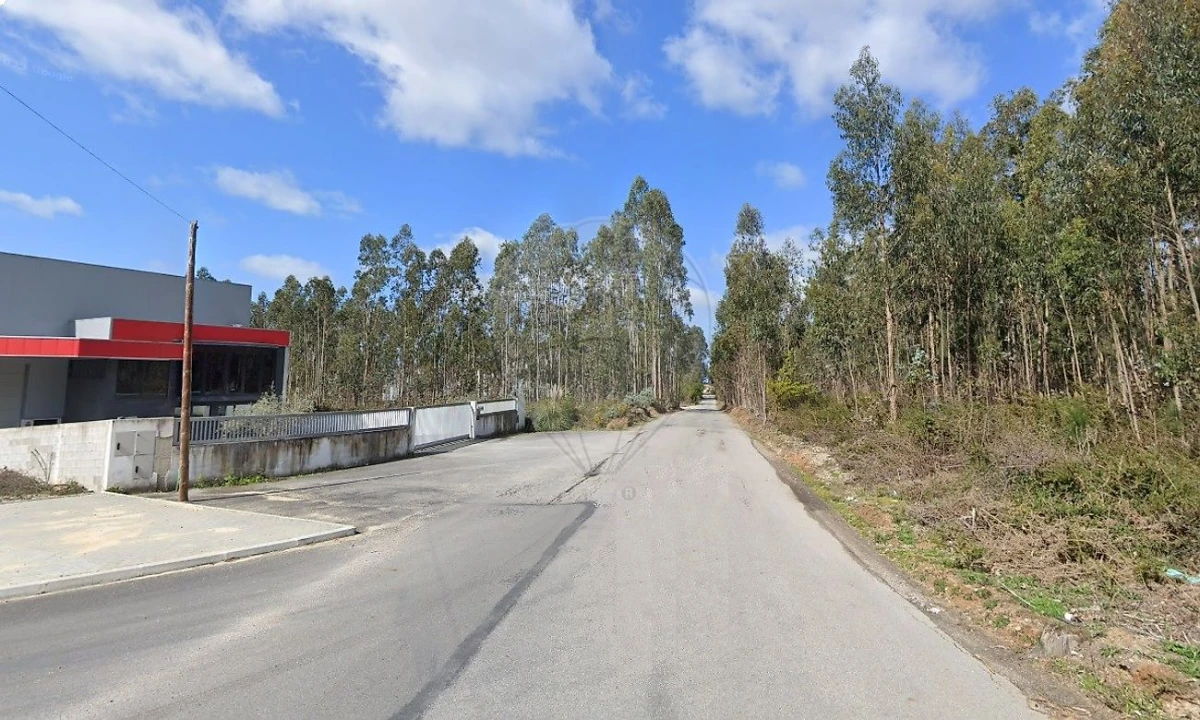 Terreno para Venda em O. Azeméis, Riba-Ul, Ul, Macinhata Seixa, Madail Foto 8