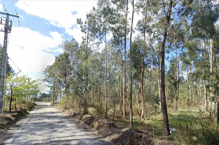 Terreno para Venda em O. Azeméis, Riba-Ul, Ul, Macinhata Seixa, Madail Foto 3