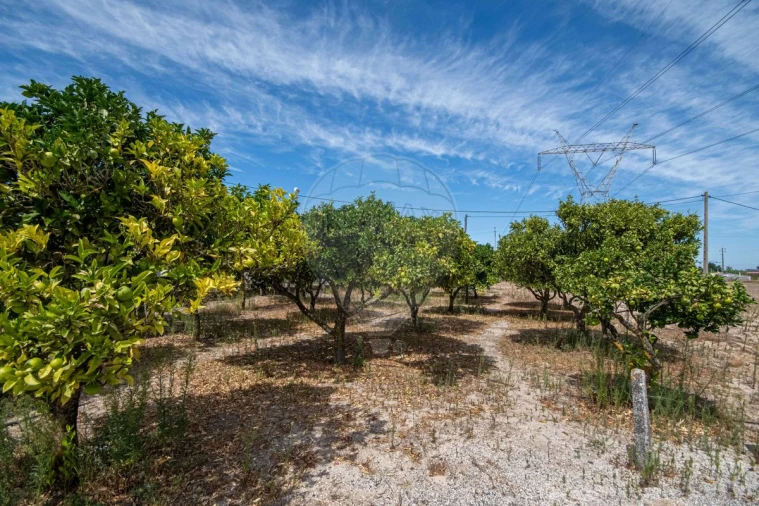 Moradia T3 para Venda em Samora Correia Foto 12