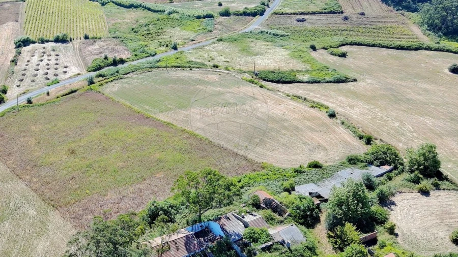 Terreno para Venda em Santo Quintino Foto 6