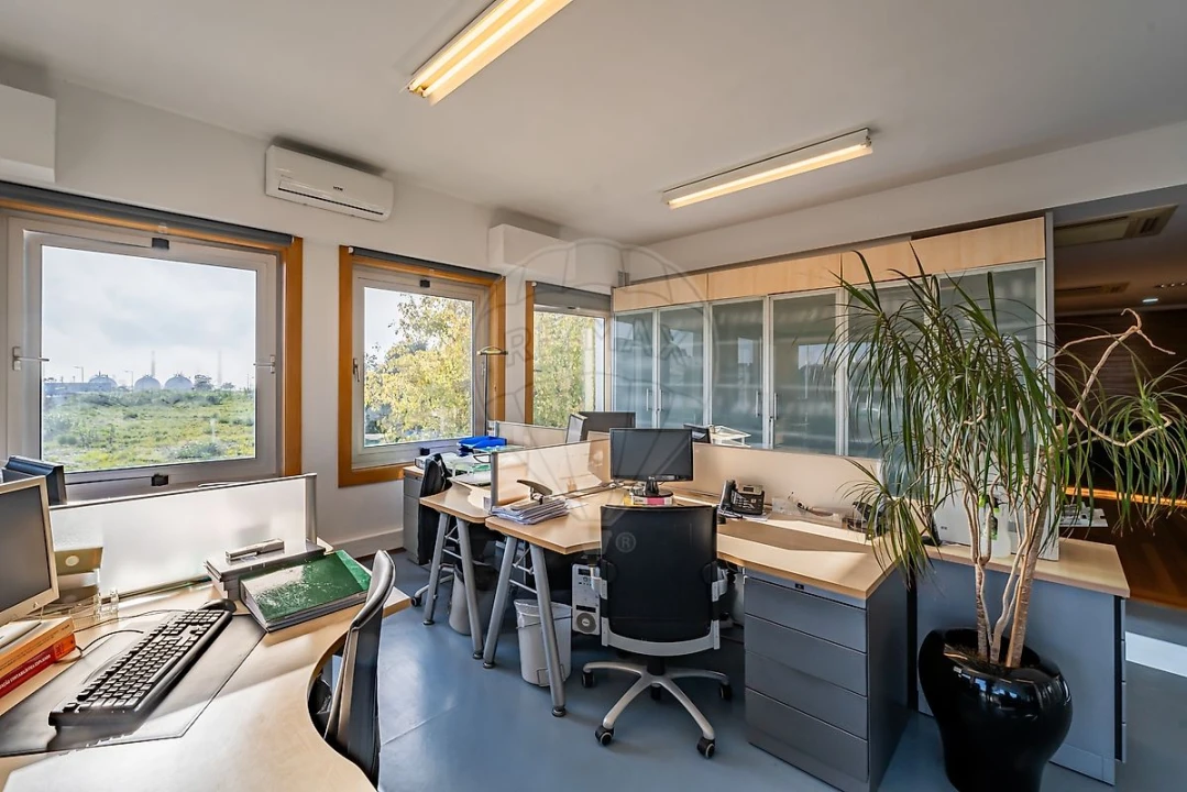 Escritório para Venda em Perafita, Lavra e Santa Cruz do Bispo Foto 17