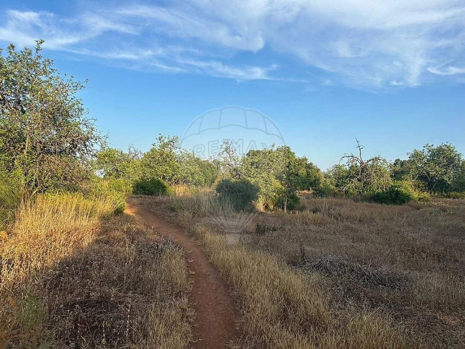 Terreno para Venda em Tavira (Santa Maria e Santiago) Foto 10