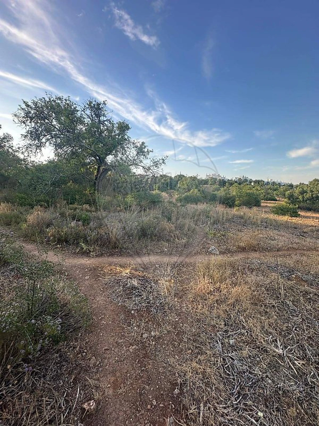 Terreno para Venda em Tavira (Santa Maria e Santiago) Foto 9