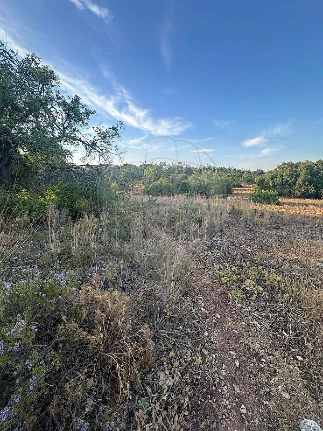 Terreno para Venda em Tavira (Santa Maria e Santiago) Foto 5