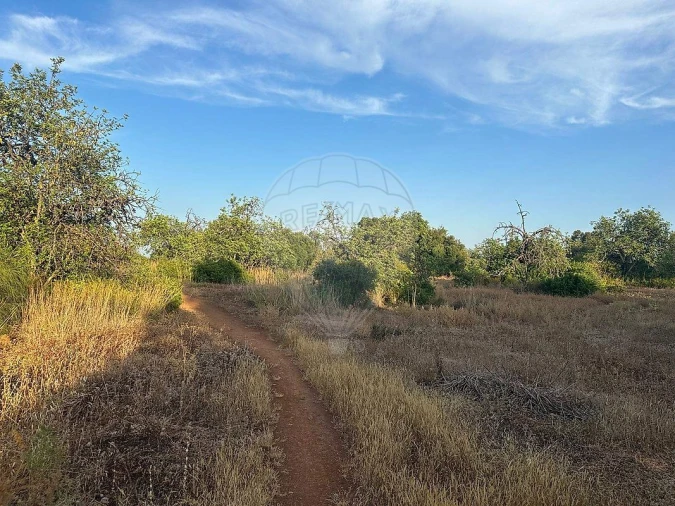 Terreno para Venda em Tavira (Santa Maria e Santiago) Foto 10