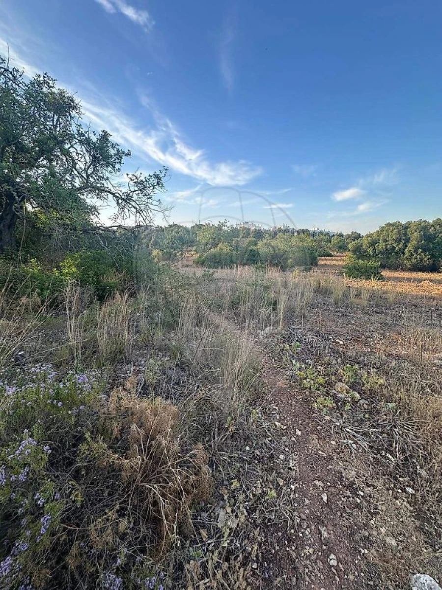 Terreno para Venda em Tavira (Santa Maria e Santiago) Foto 5