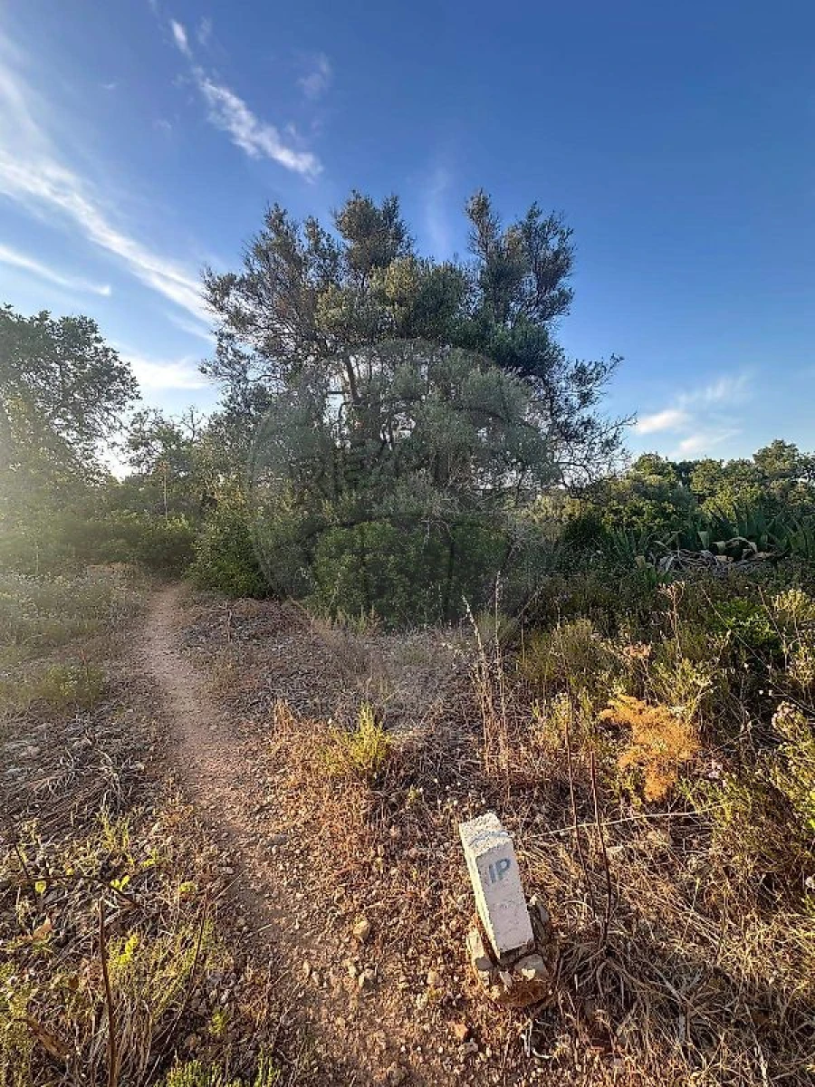 Terreno para Venda em Tavira (Santa Maria e Santiago) Foto 11