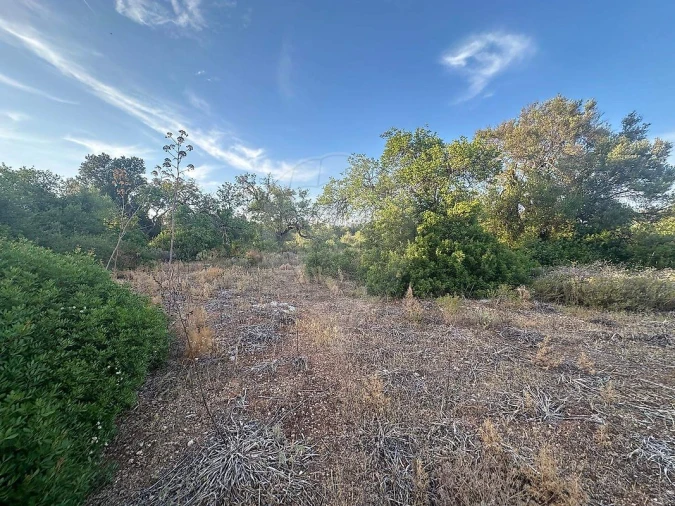 Terreno para Venda em Tavira (Santa Maria e Santiago) Foto 8