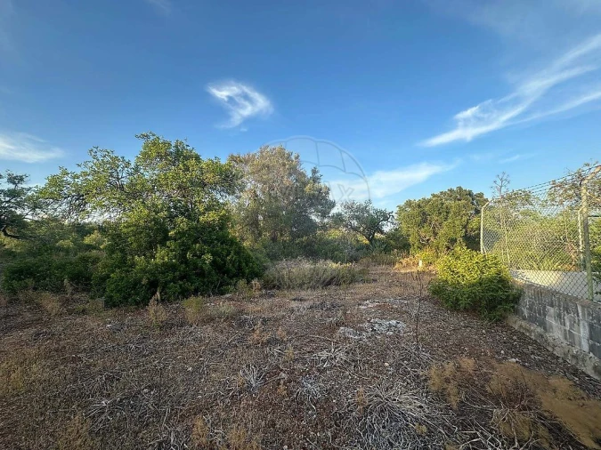 Terreno para Venda em Tavira (Santa Maria e Santiago) Foto 4