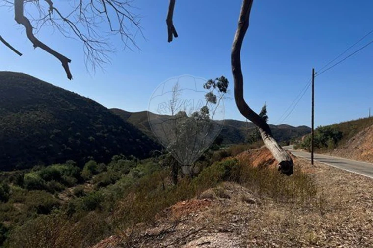 Terreno para Venda em Alferce Foto 4