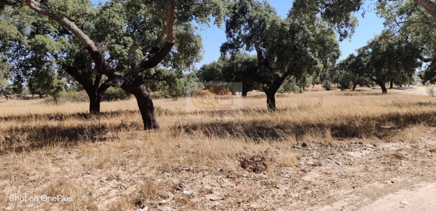 Terreno para Venda em Grândola e Santa Margarida da Serra Foto 7