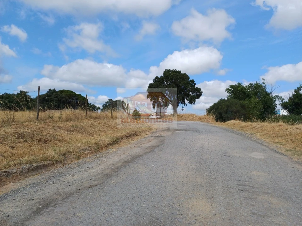 Terreno para Venda em Grândola e Santa Margarida da Serra Foto 6