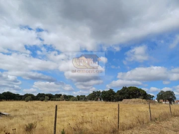 Terreno para Venda em Grândola e Santa Margarida da Serra