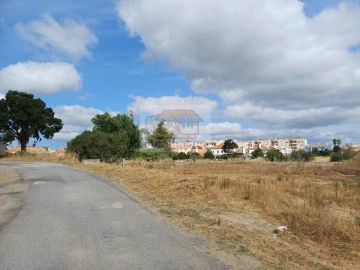 Terreno para Venda em Grândola e Santa Margarida da Serra