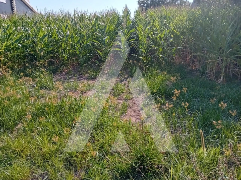 Terreno para Venda em Aradas Foto 3