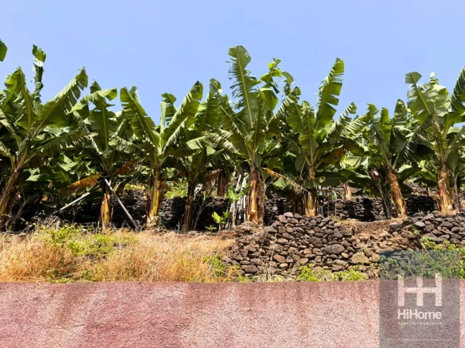 Terreno para Venda em Madalena do Mar Foto 22