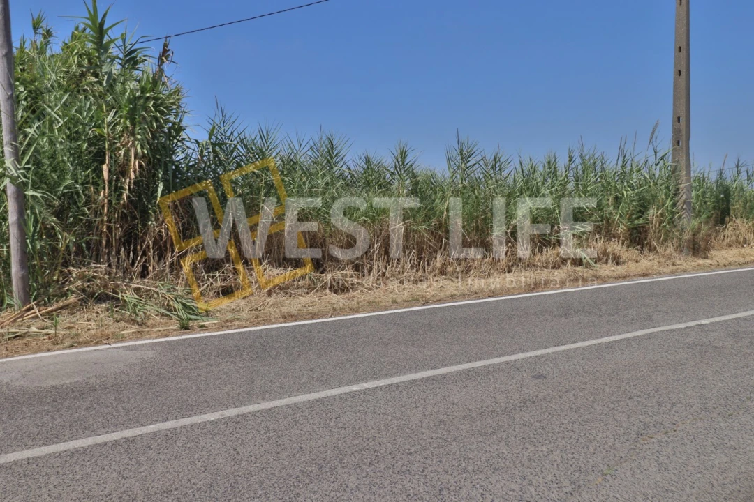 Terreno para Venda em A dos Cunhados e Maceira Foto 3