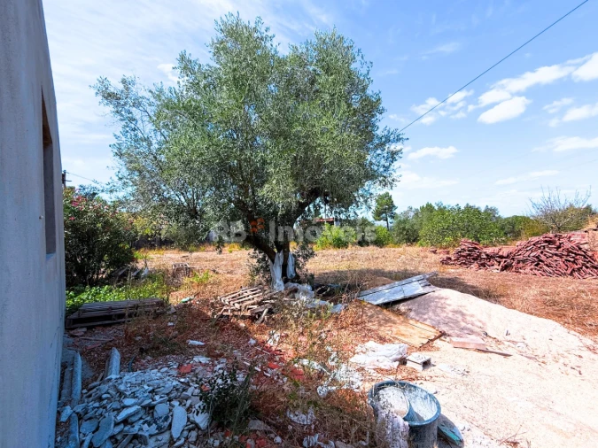 Moradia T3 para Venda em São Pedro de Tomar Foto 27