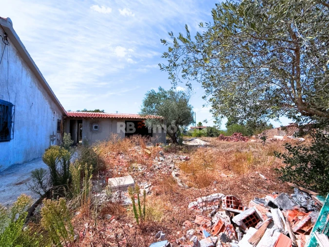 Moradia T3 para Venda em São Pedro de Tomar Foto 31