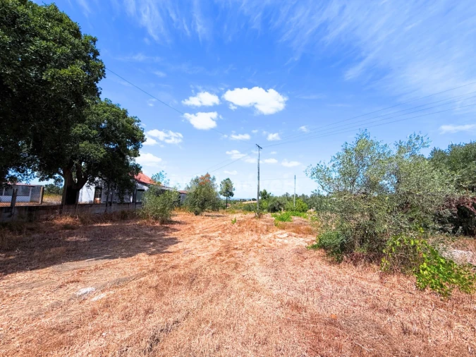 Moradia T3 para Venda em São Pedro de Tomar Foto 33