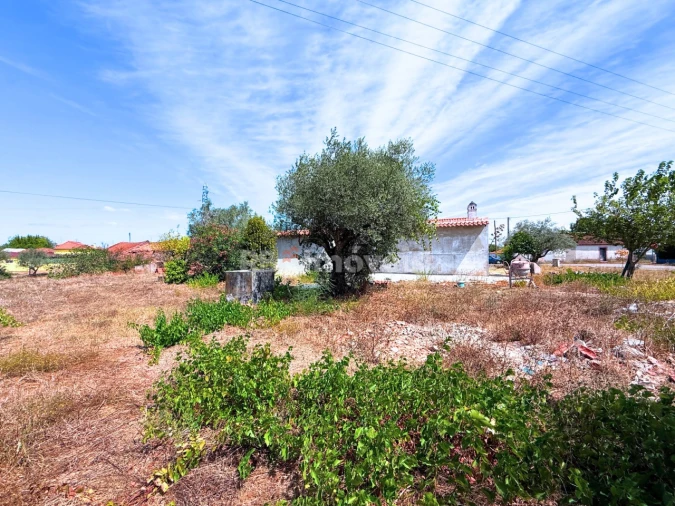 Moradia T3 para Venda em São Pedro de Tomar Foto 35