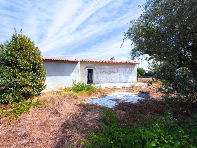 Moradia T3 para Venda em São Pedro de Tomar Foto 36