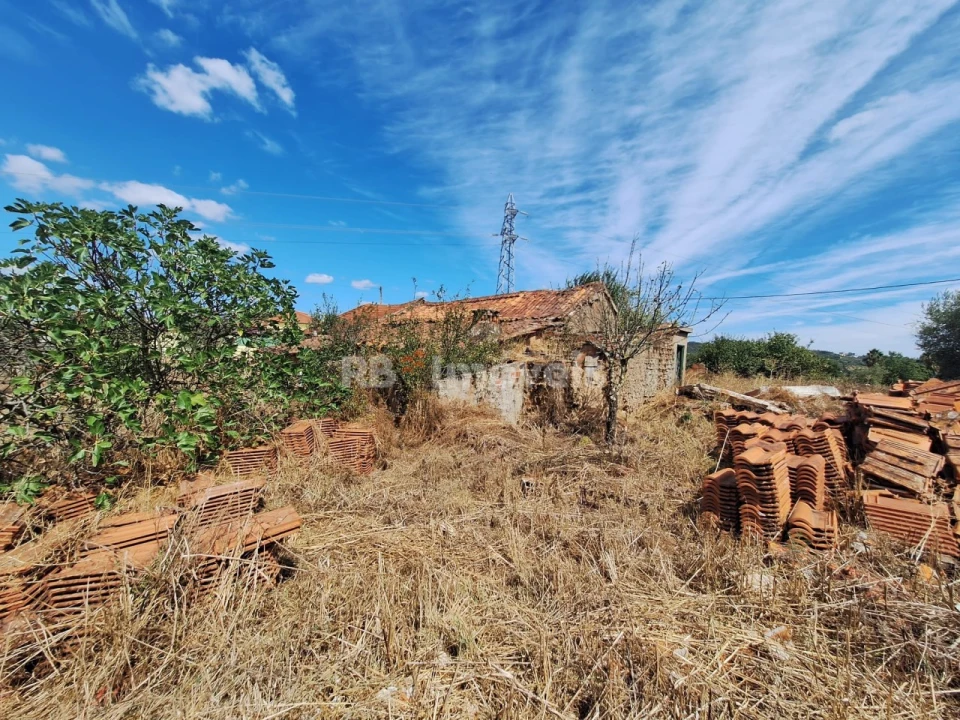 Terreno para Venda em São Pedro de Tomar Foto 3