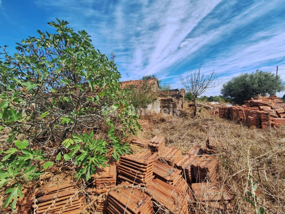 Terreno para Venda em São Pedro de Tomar Foto 4