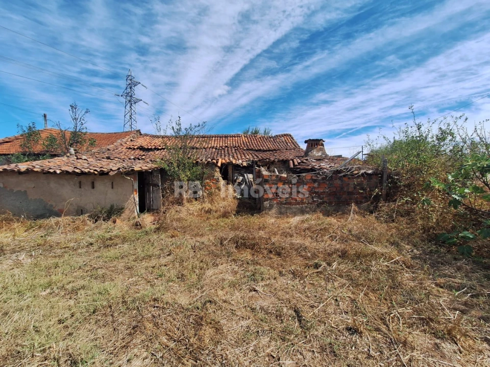 Terreno para Venda em São Pedro de Tomar Foto 1