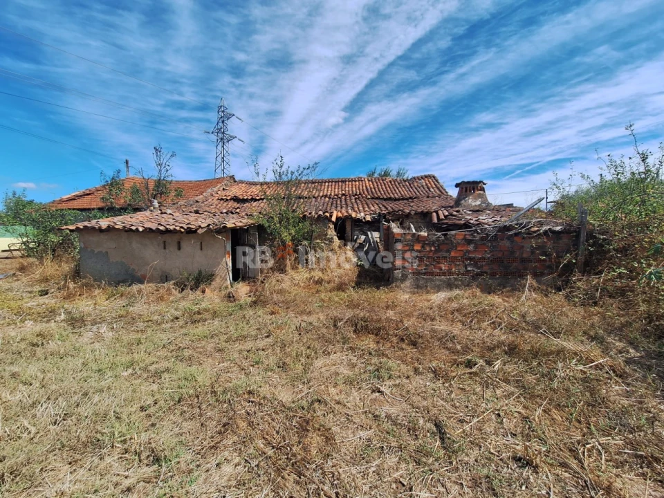 Terreno para Venda em São Pedro de Tomar Foto 5