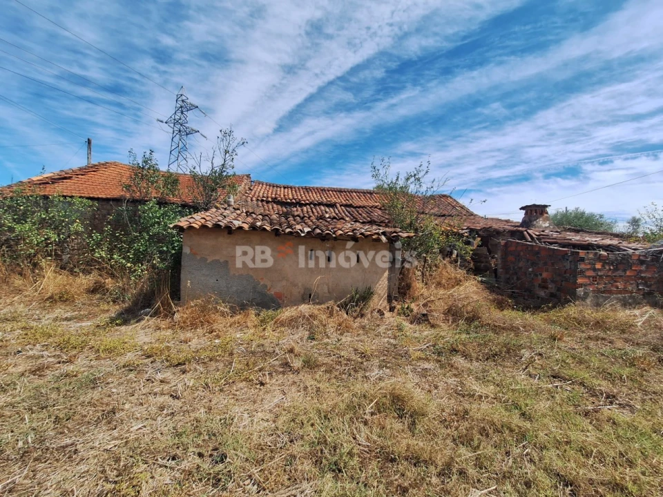 Terreno para Venda em São Pedro de Tomar Foto 6