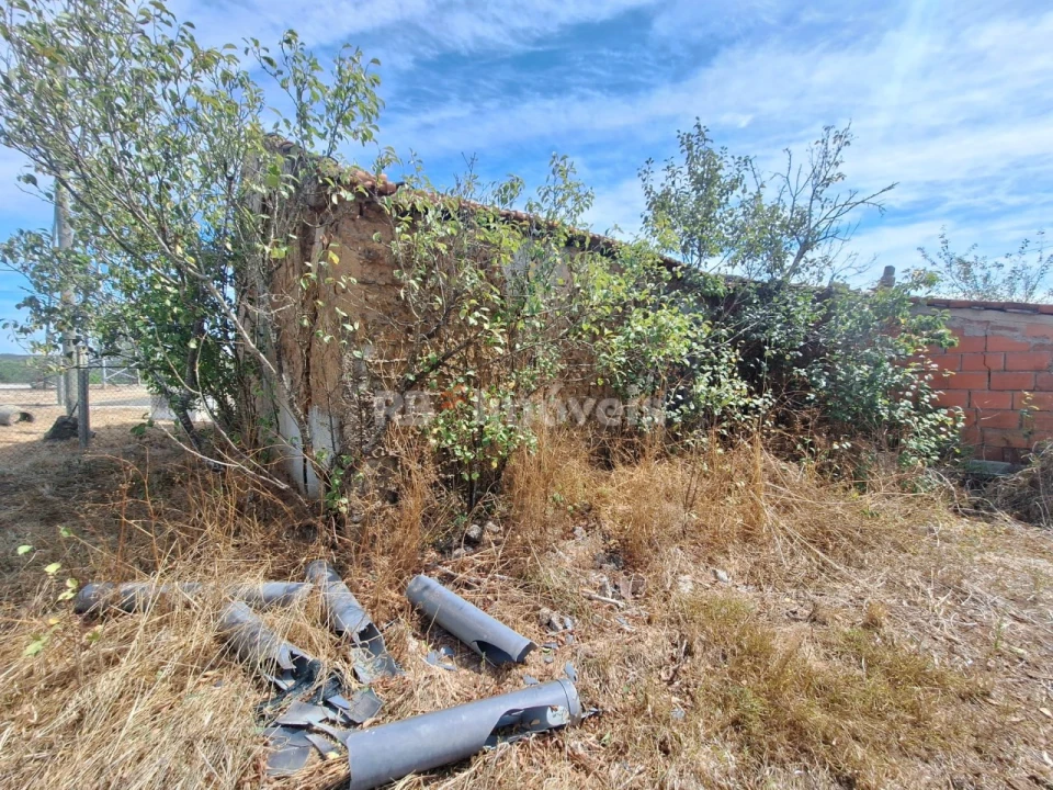 Terreno para Venda em São Pedro de Tomar Foto 7