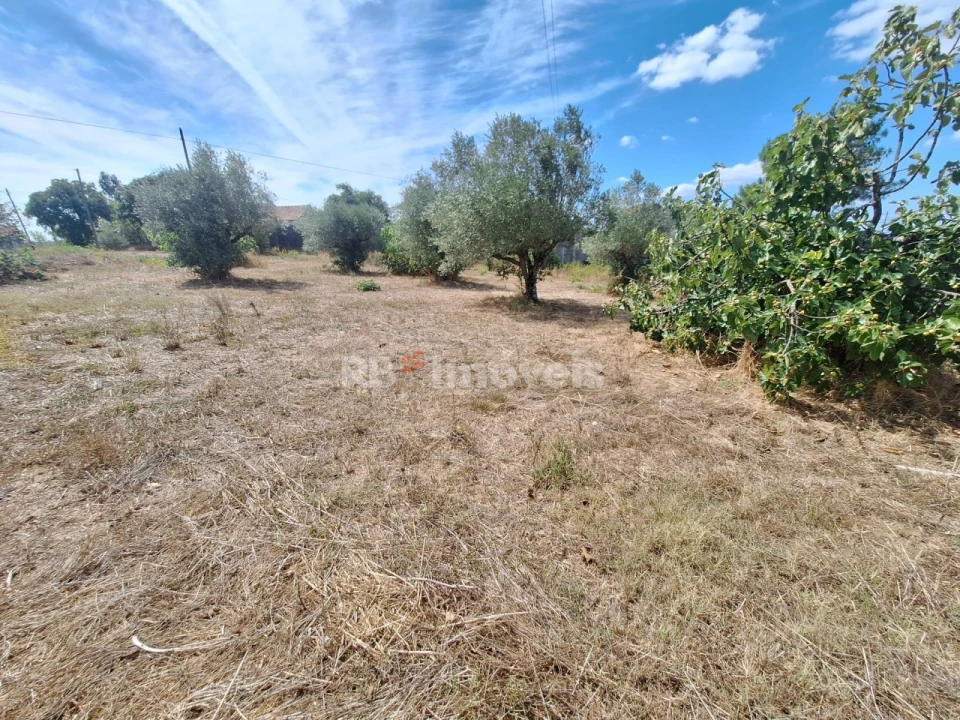 Terreno para Venda em São Pedro de Tomar Foto 8