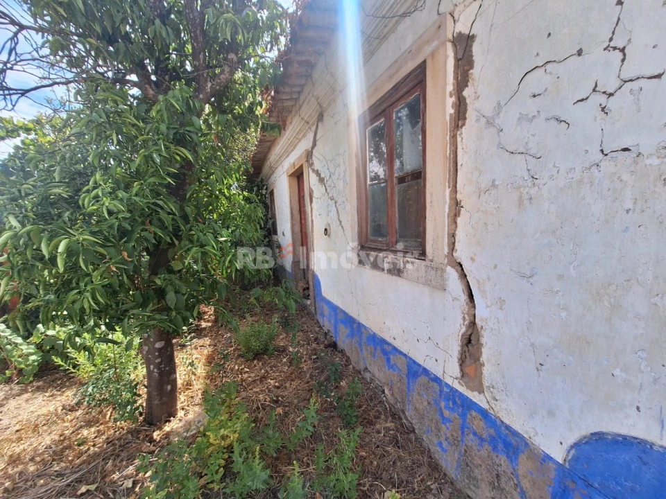 Terreno para Venda em São Pedro de Tomar Foto 10