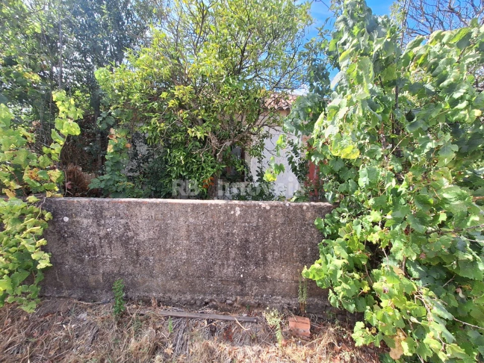 Terreno para Venda em São Pedro de Tomar Foto 11