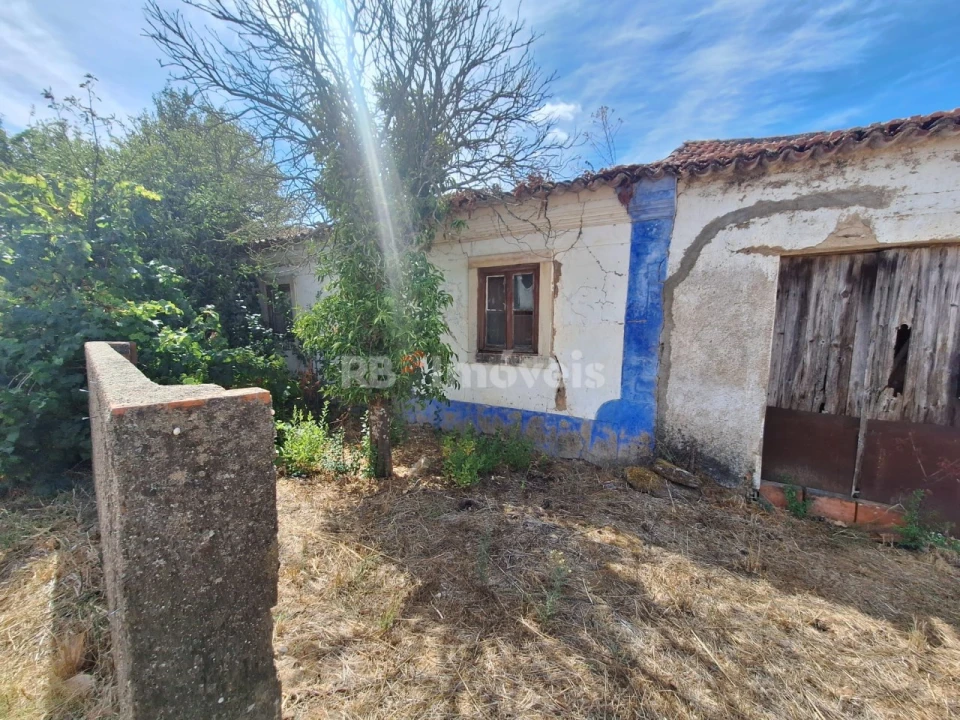 Terreno para Venda em São Pedro de Tomar Foto 12