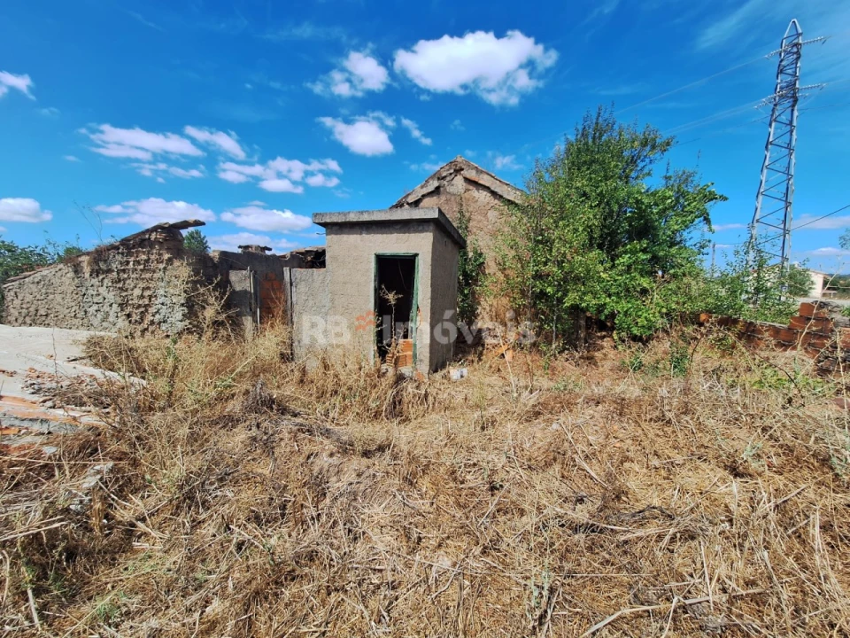 Terreno para Venda em São Pedro de Tomar Foto 14