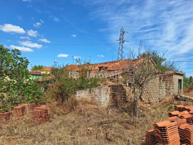 Terreno para Venda em São Pedro de Tomar Foto 2