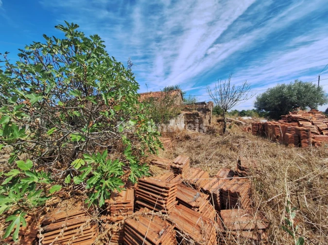 Terreno para Venda em São Pedro de Tomar Foto 4