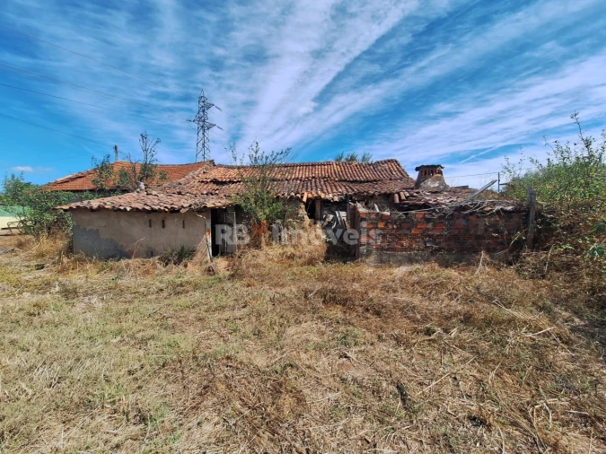 Terreno para Venda em São Pedro de Tomar Foto 5