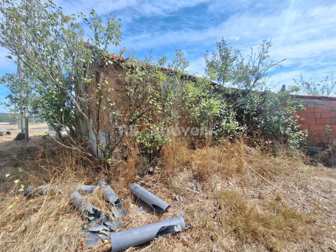 Terreno para Venda em São Pedro de Tomar Foto 7