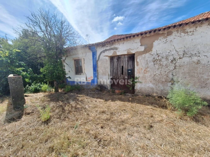 Terreno para Venda em São Pedro de Tomar Foto 9