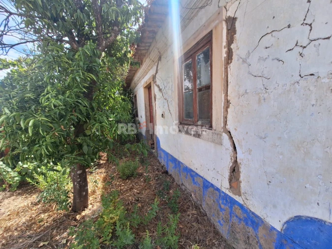 Terreno para Venda em São Pedro de Tomar Foto 10