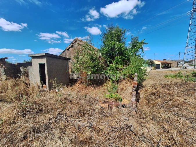 Terreno para Venda em São Pedro de Tomar Foto 13