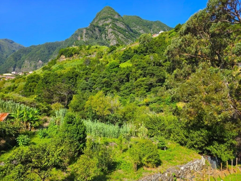 Terreno para Venda em São Vicente Foto 12