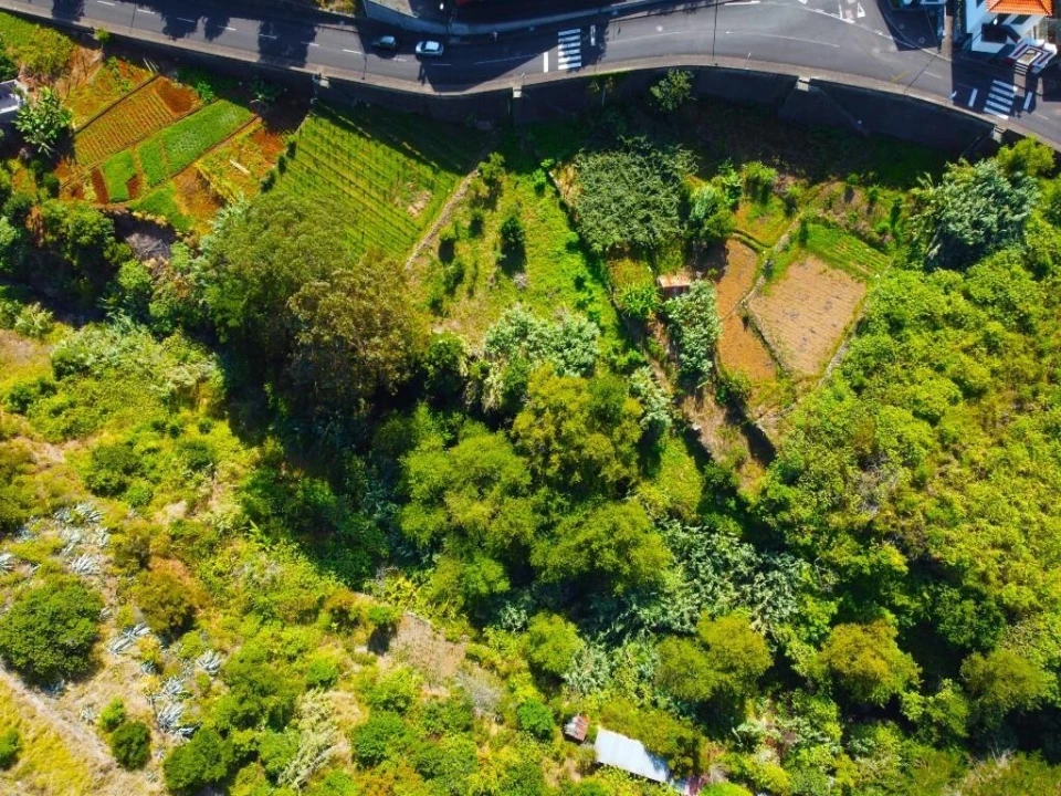 Terreno para Venda em São Vicente Foto 19