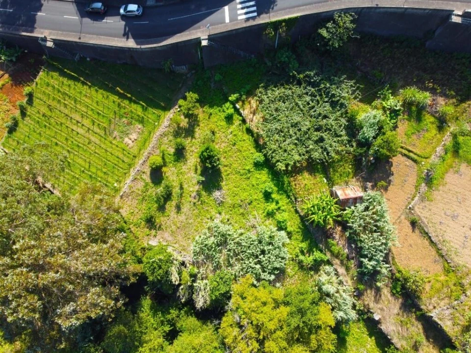 Terreno para Venda em São Vicente Foto 20