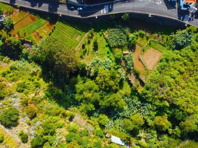 Terreno para Venda em São Vicente Foto 19