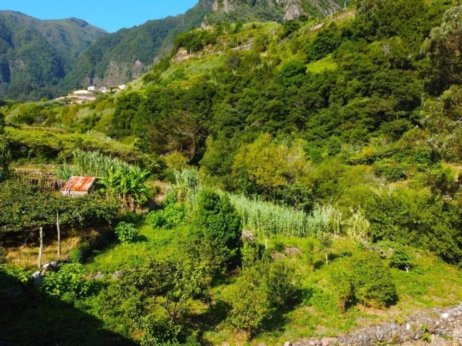 Terreno para Venda em São Vicente Foto 15